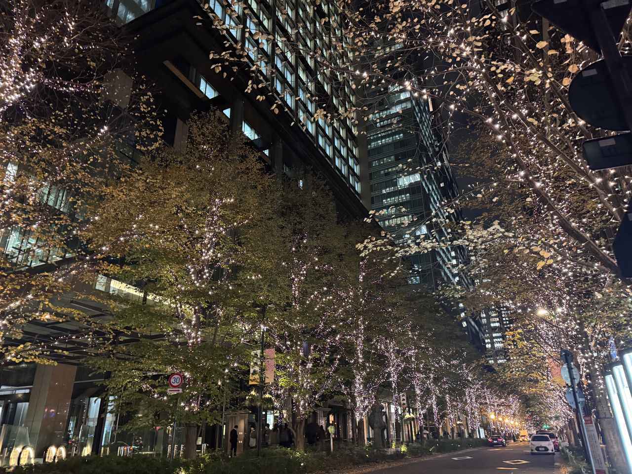 画像2: 都市の森で、自分と向き合う時間を