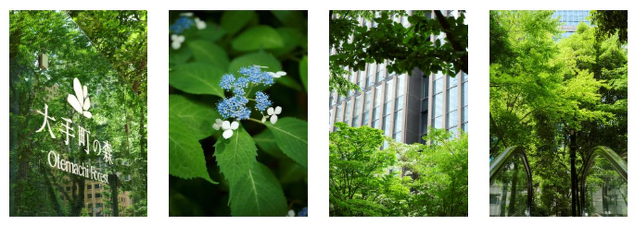 画像: 主催者コメント