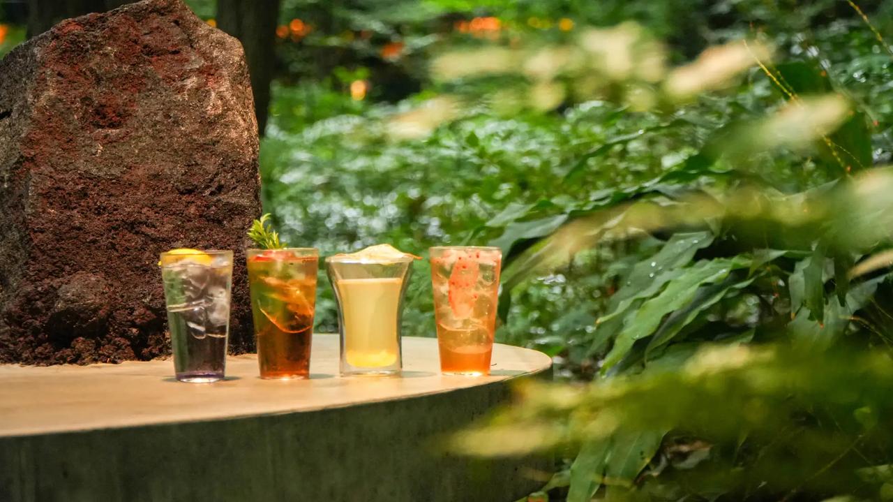 画像1: 森の香りを纏ったカクテルで、五感をリセット