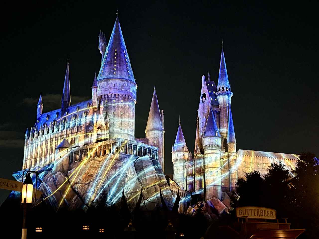 画像1: ホグワーツ™・マジカル・ナイトが描く冬の魔法界