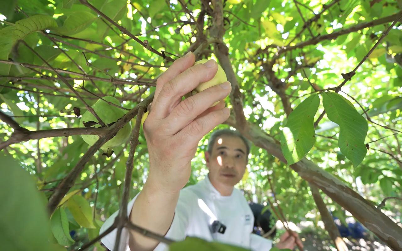 画像1: 高知・四万十に息づく食の源流を求めて ― 総料理長 依田 卓也の高知紀行 ―