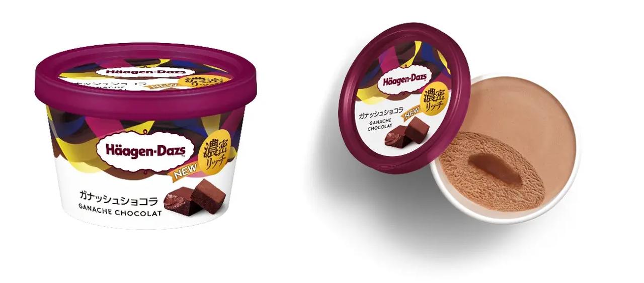 画像: ハーゲンダッツ ミニカップ『ガナッシュショコラ』 【内 容 量】 110ml 【価　 格】 351円（希望小売価格：消費税込み）　※軽減税率適用