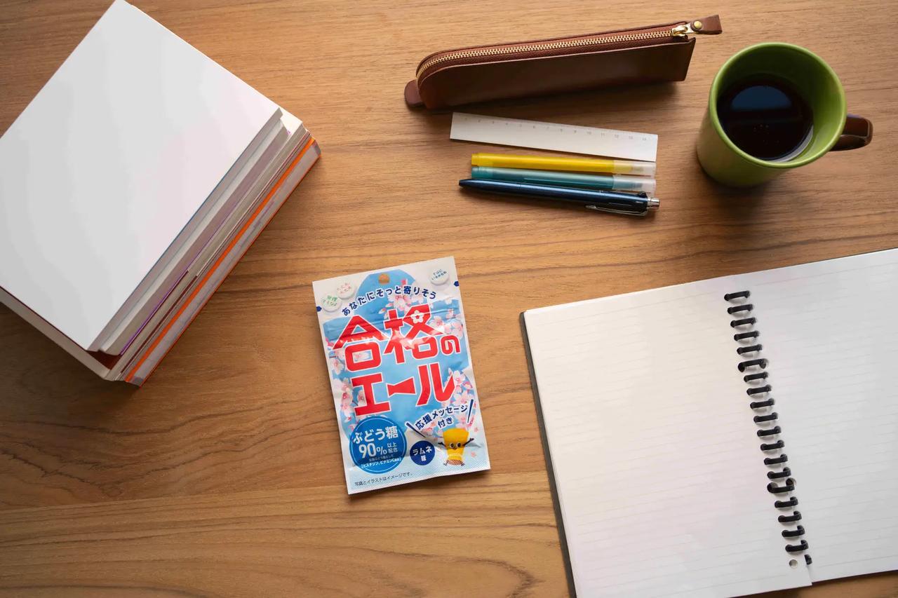 画像1: 開発背景