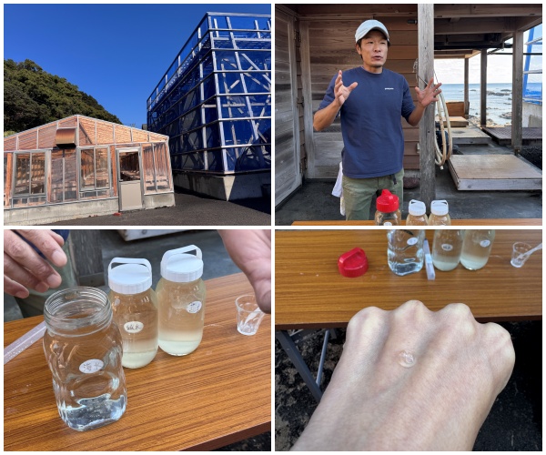 画像8: 朝ドラで話題♡知られざる西部の魅力をめぐる冬の高知旅「大人の土佐満喫ツアー」（前編）