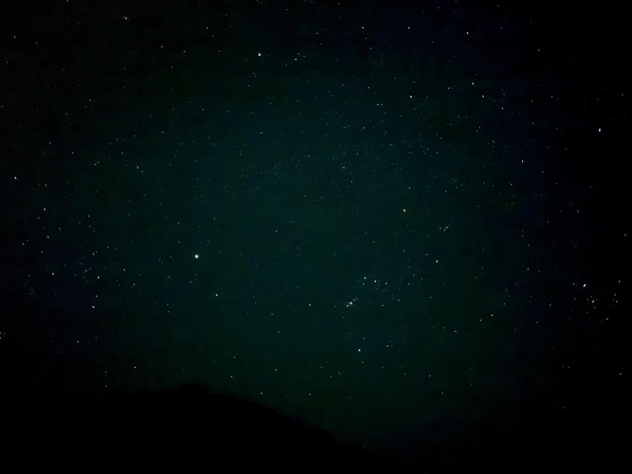 画像21: 朝ドラで話題♡知られざる西部の魅力をめぐる冬の高知旅「大人の土佐満喫ツアー」（前編）