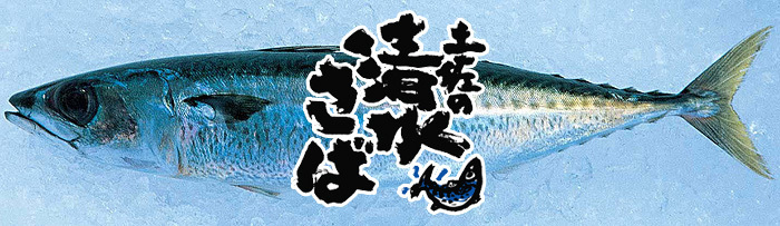 画像1: 冬の味覚「土佐の清水さば」を満喫