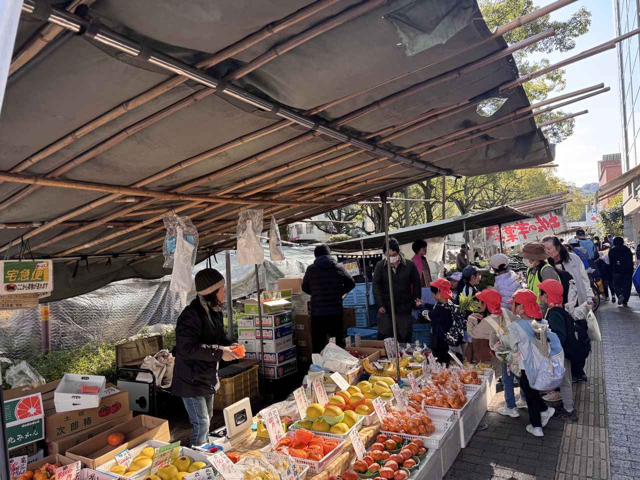 画像: 300年以上受け継がれる高知の街路市文化