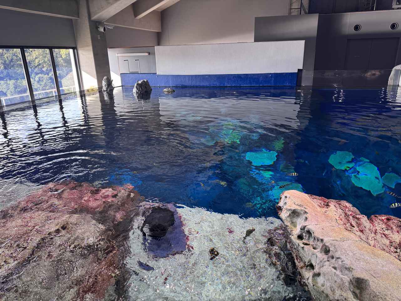 画像13: 朝ドラで話題♡知られざる西部の魅力をめぐる冬の高知旅「大人の土佐満喫ツアー」（後編）