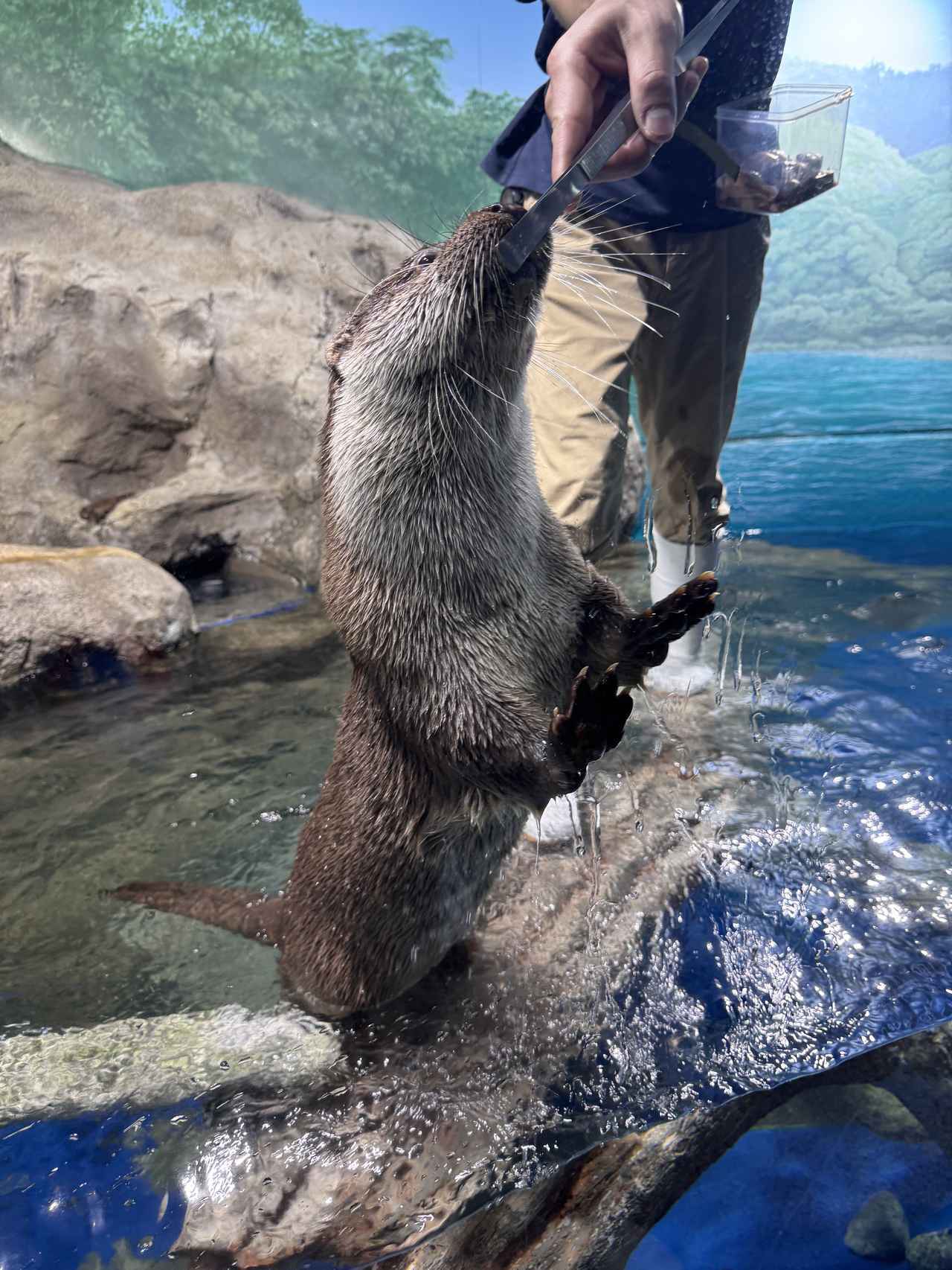 画像9: 朝ドラで話題♡知られざる西部の魅力をめぐる冬の高知旅「大人の土佐満喫ツアー」（後編）