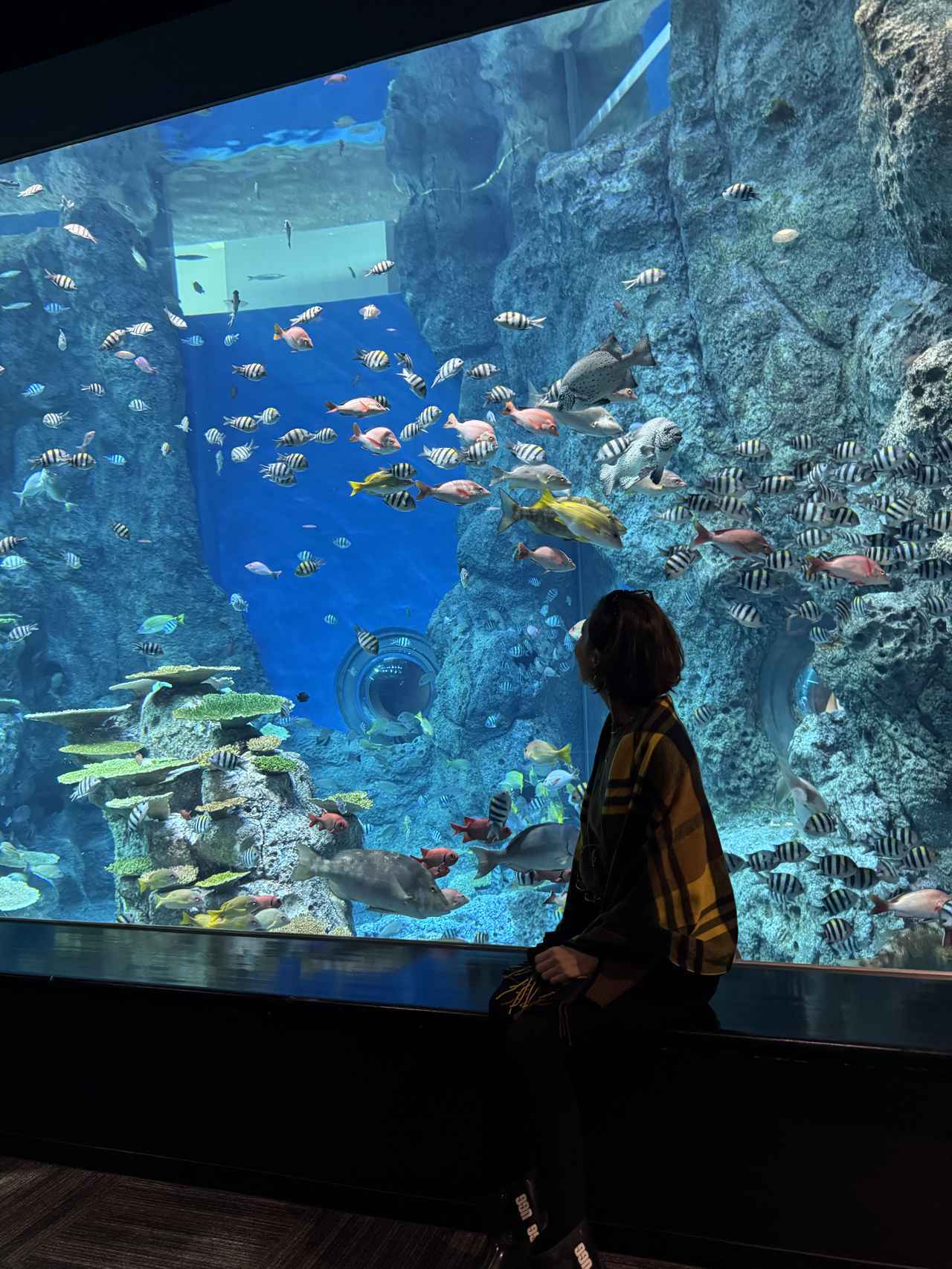 画像16: 朝ドラで話題♡知られざる西部の魅力をめぐる冬の高知旅「大人の土佐満喫ツアー」（後編）