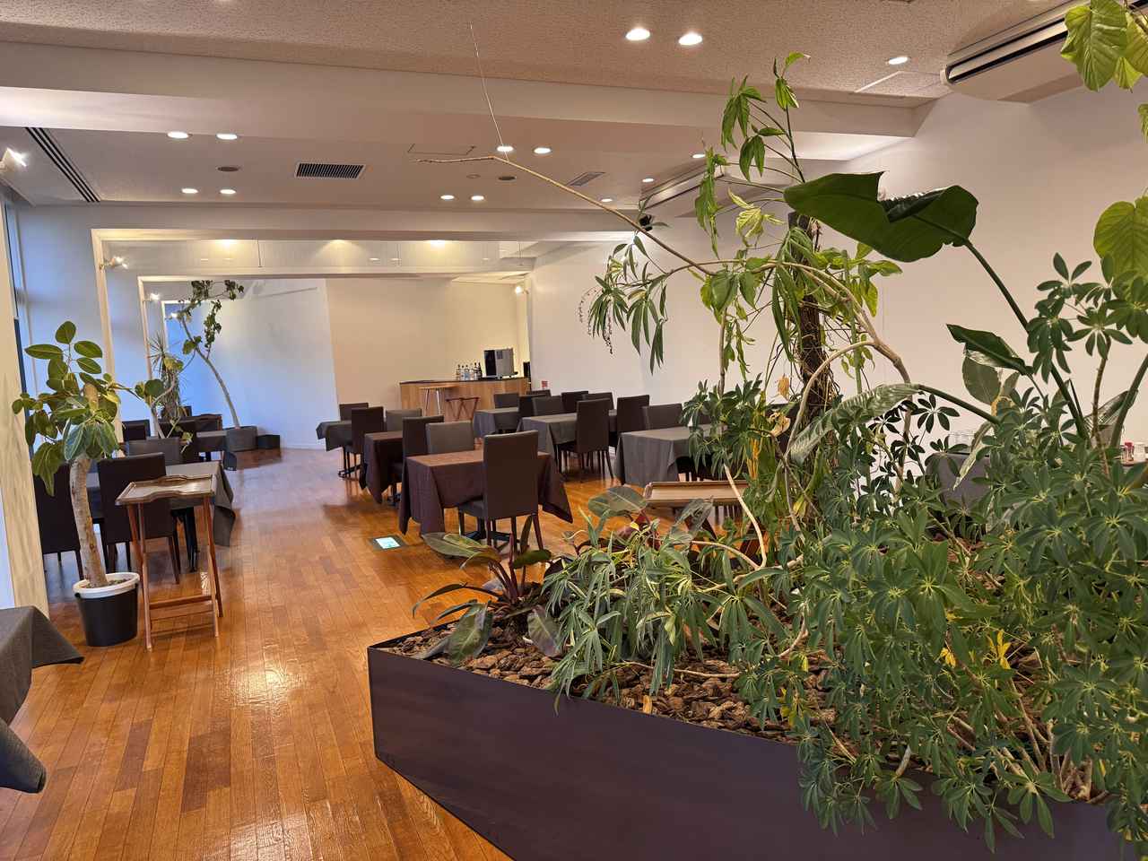 画像27: 朝ドラで話題♡知られざる西部の魅力をめぐる冬の高知旅「大人の土佐満喫ツアー」（前編）