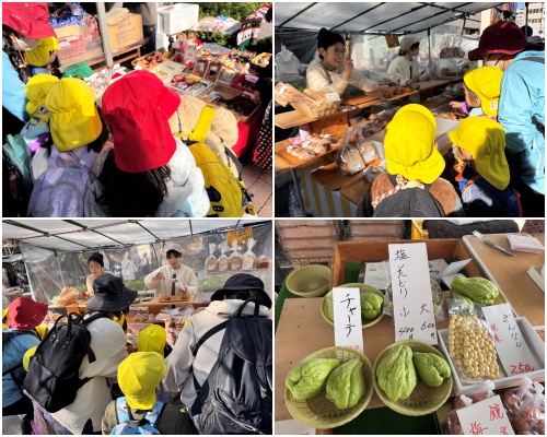 画像3: 朝ドラで話題♡知られざる西部の魅力をめぐる冬の高知旅「大人の土佐満喫ツアー」（前編）