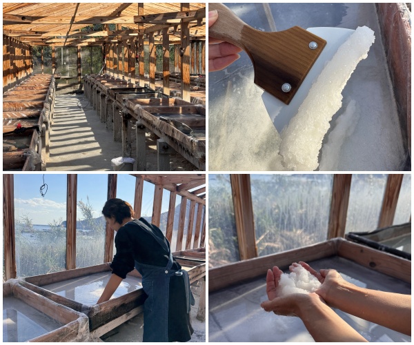 画像10: 朝ドラで話題♡知られざる西部の魅力をめぐる冬の高知旅「大人の土佐満喫ツアー」（前編）