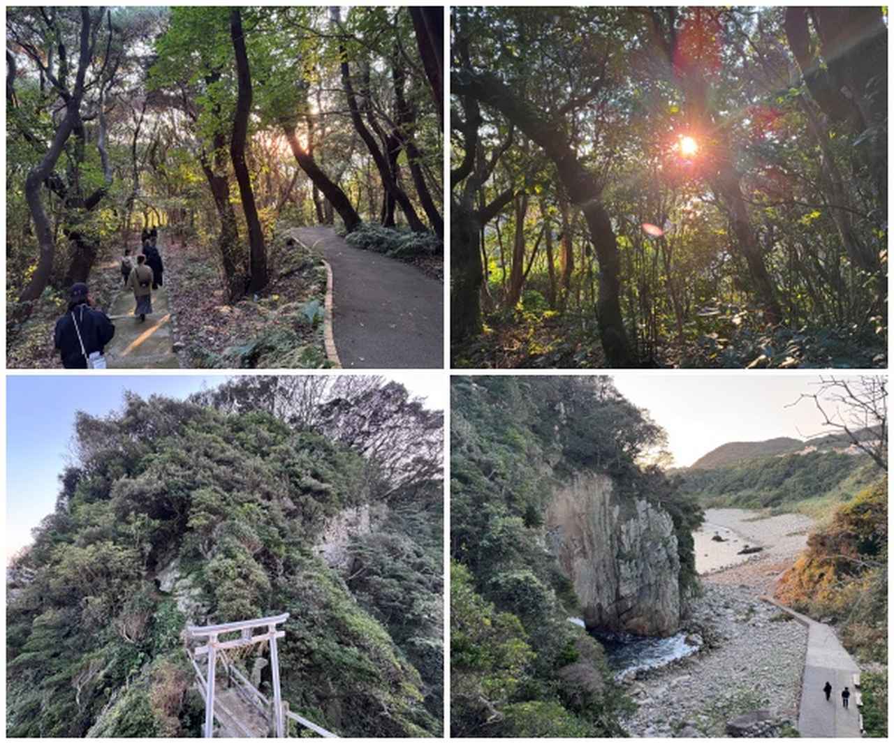 画像15: 朝ドラで話題♡知られざる西部の魅力をめぐる冬の高知旅「大人の土佐満喫ツアー」（前編）