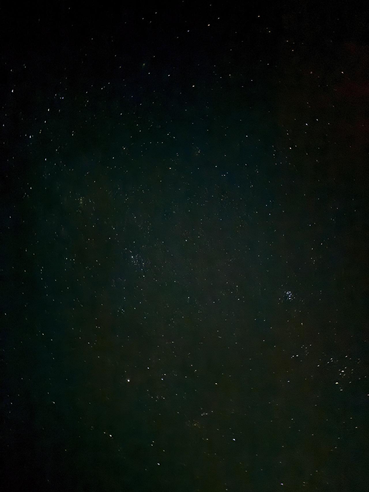 画像20: 朝ドラで話題♡知られざる西部の魅力をめぐる冬の高知旅「大人の土佐満喫ツアー」（前編）