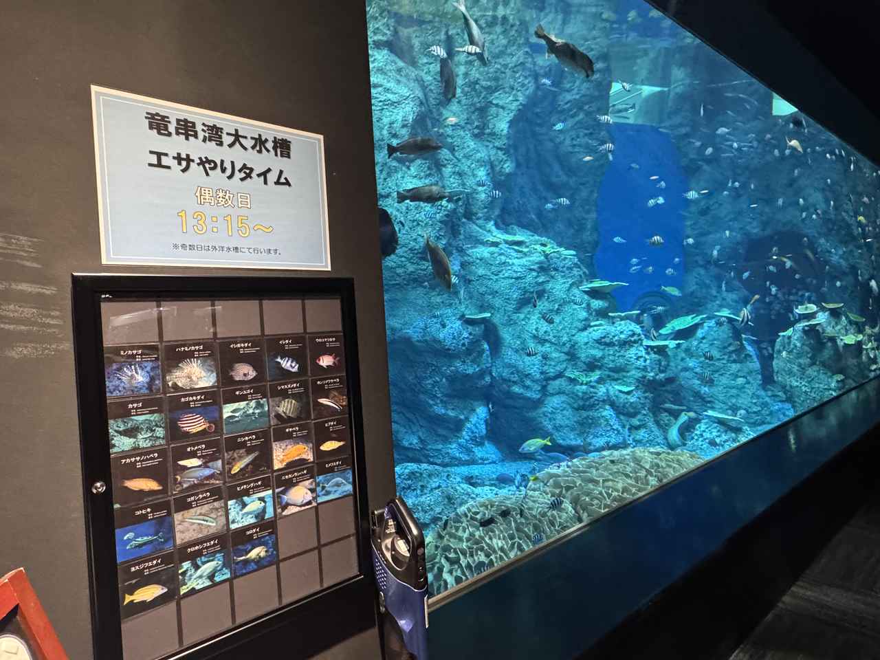 画像14: 朝ドラで話題♡知られざる西部の魅力をめぐる冬の高知旅「大人の土佐満喫ツアー」（後編）