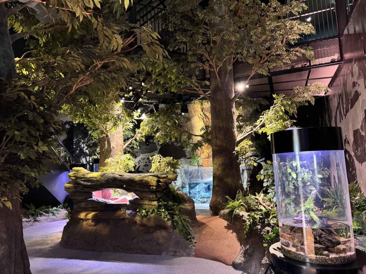 画像3: 朝ドラで話題♡知られざる西部の魅力をめぐる冬の高知旅「大人の土佐満喫ツアー」（後編）