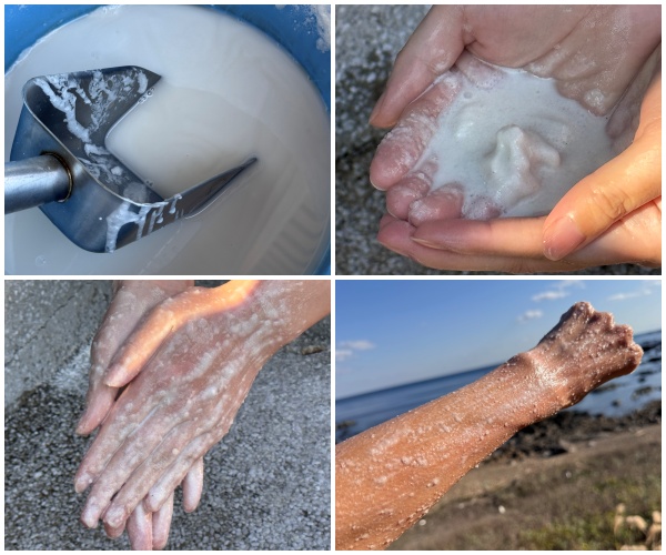 画像13: 朝ドラで話題♡知られざる西部の魅力をめぐる冬の高知旅「大人の土佐満喫ツアー」（前編）