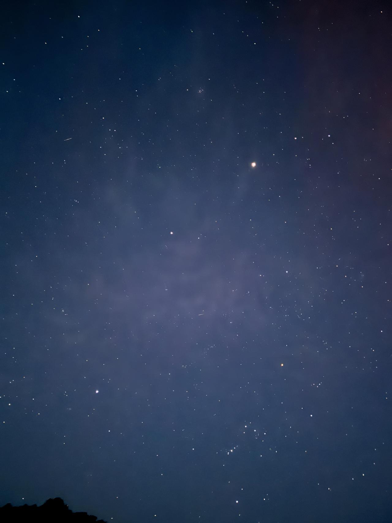 画像22: 朝ドラで話題♡知られざる西部の魅力をめぐる冬の高知旅「大人の土佐満喫ツアー」（前編）