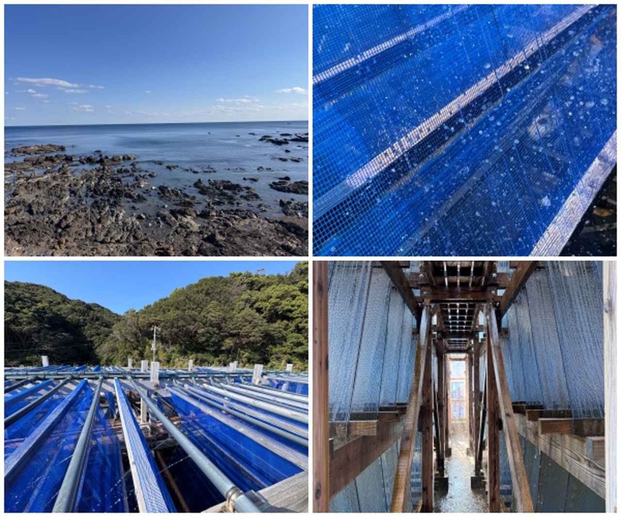 画像9: 朝ドラで話題♡知られざる西部の魅力をめぐる冬の高知旅「大人の土佐満喫ツアー」（前編）