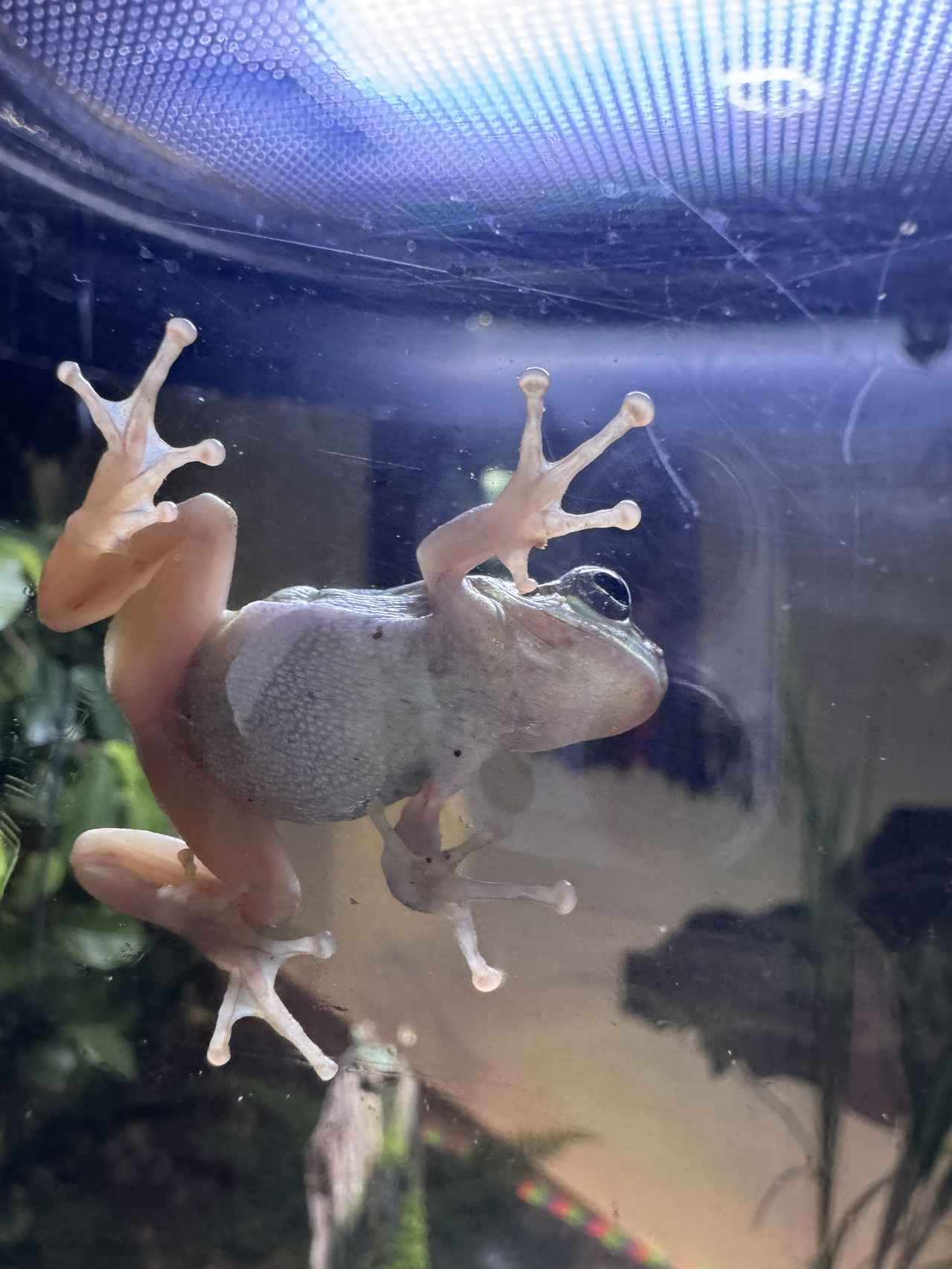 画像4: 朝ドラで話題♡知られざる西部の魅力をめぐる冬の高知旅「大人の土佐満喫ツアー」（後編）