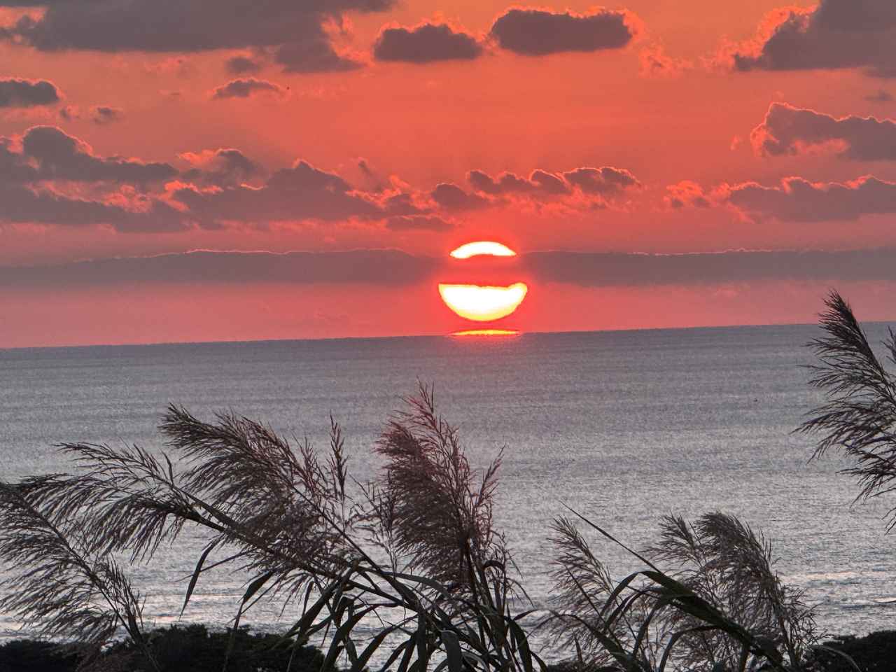 画像: 一度訪れれば、また戻りたくなる―それが土佐西部の魅力