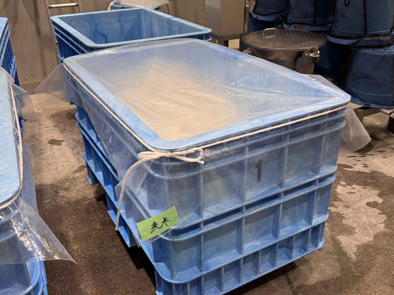 画像34: 朝ドラで話題♡知られざる西部の魅力をめぐる冬の高知旅「大人の土佐満喫ツアー」（後編）