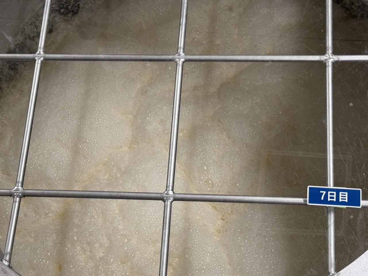 画像41: 朝ドラで話題♡知られざる西部の魅力をめぐる冬の高知旅「大人の土佐満喫ツアー」（後編）