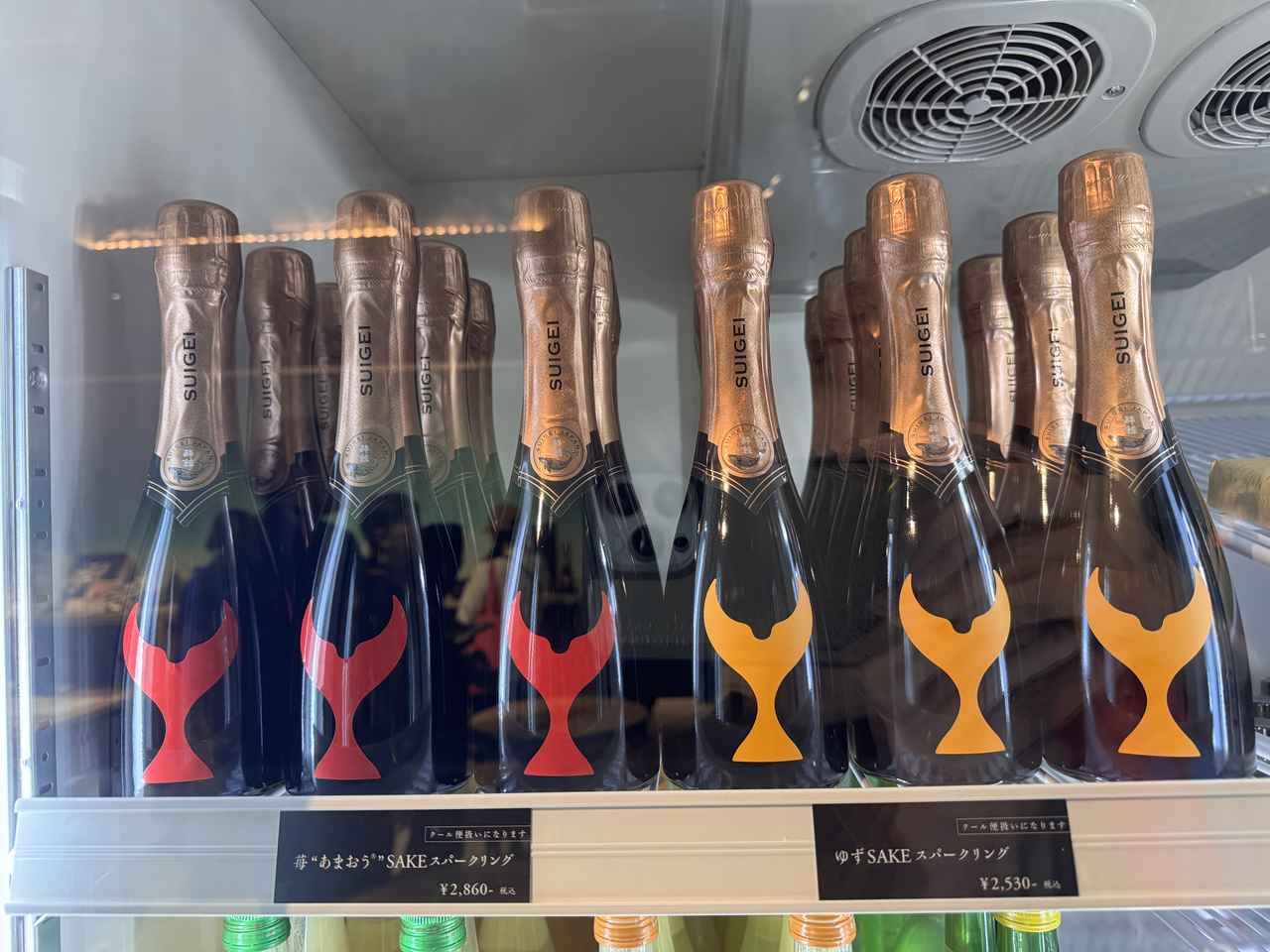 画像48: 朝ドラで話題♡知られざる西部の魅力をめぐる冬の高知旅「大人の土佐満喫ツアー」（後編）