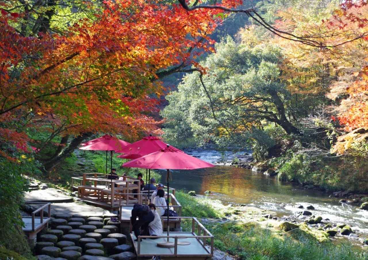 画像5: 加賀旅1日目：カニグルメ→山代の足湯→山中の紅葉→温泉宿へ