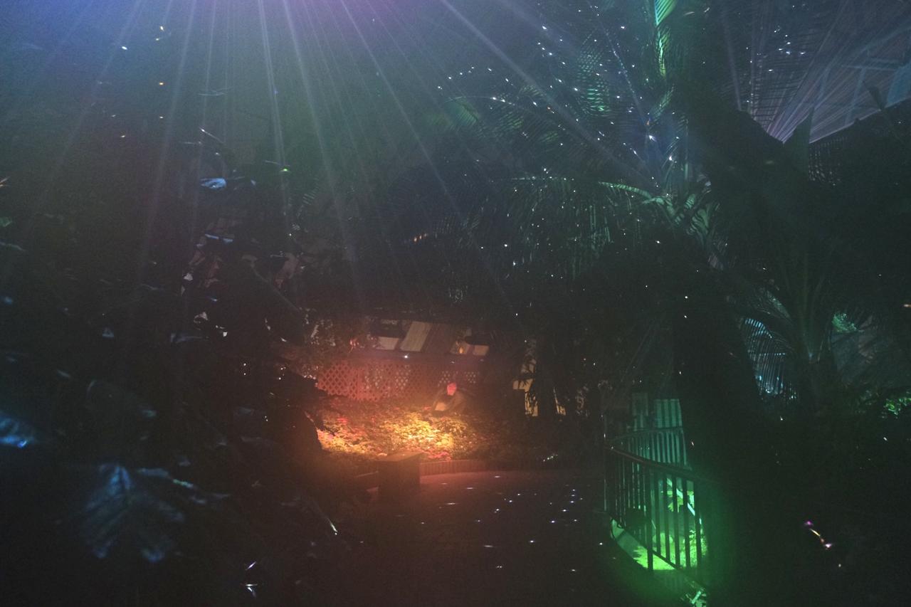 画像3: ⚫︎ZONE1:LIGHT WILL FIND YOU