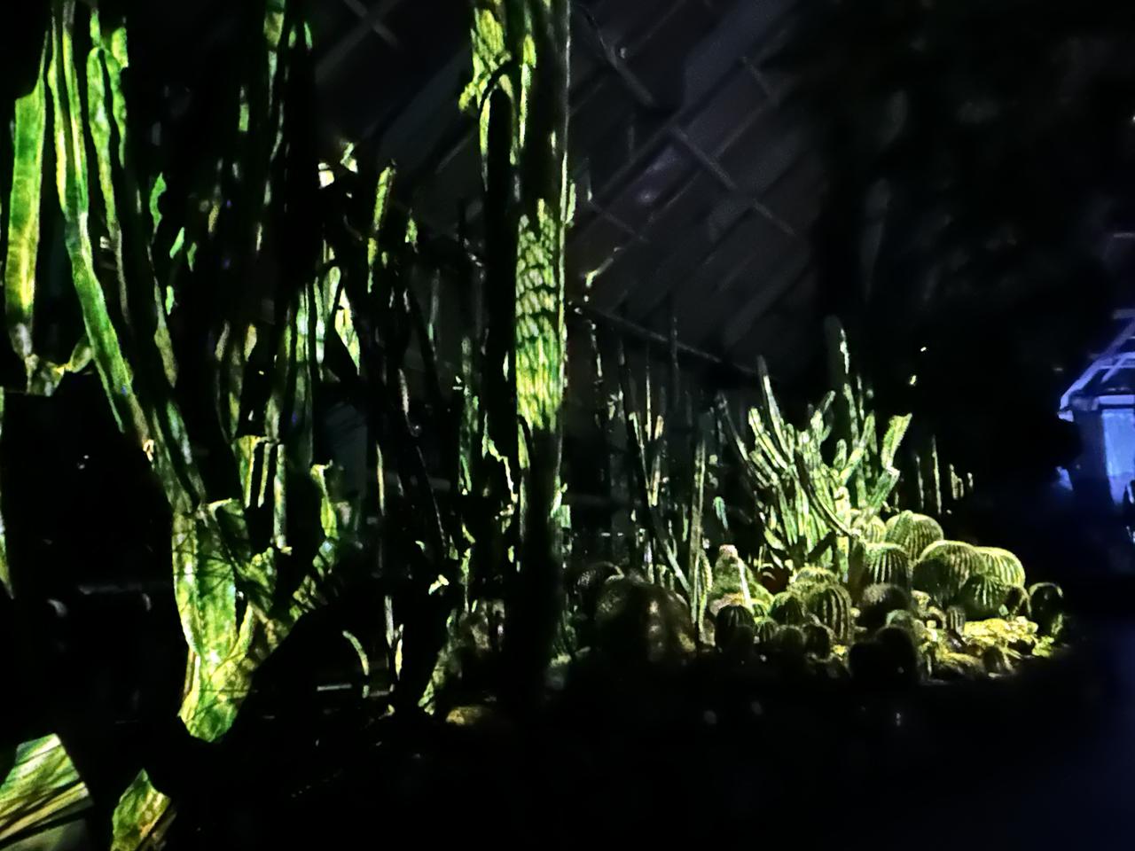 画像3: ⚫︎ZONE3:INVISIBLE