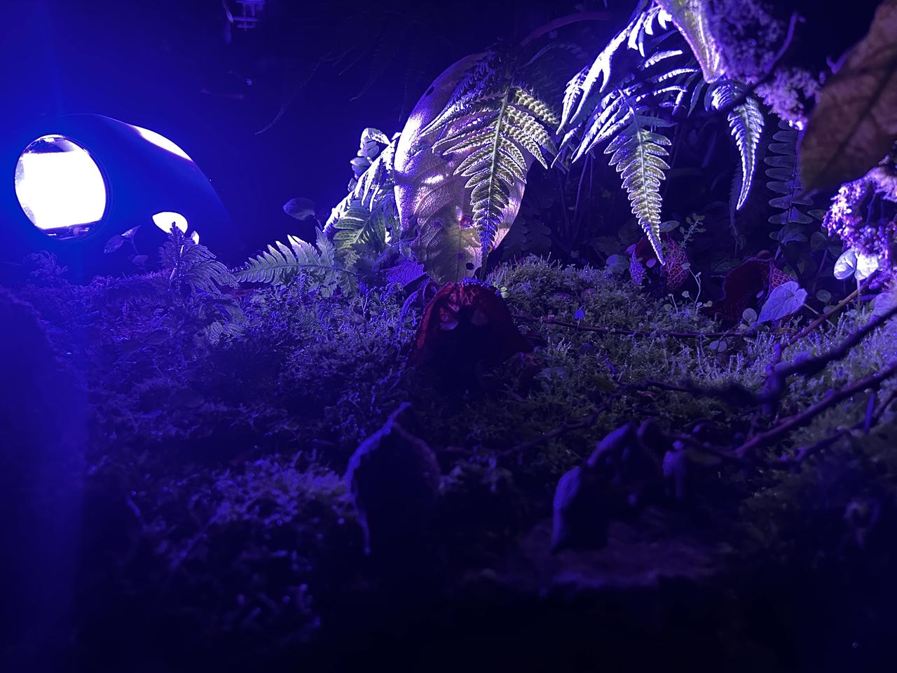 画像1: ⚫︎ZONE3:INVISIBLE