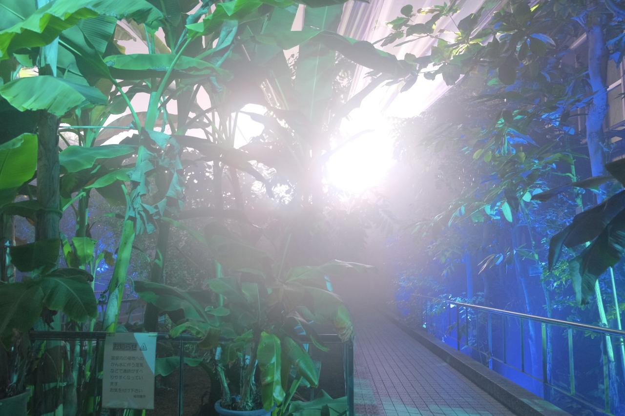 画像2: ⚫︎ZONE2:MEMORY OF WATER