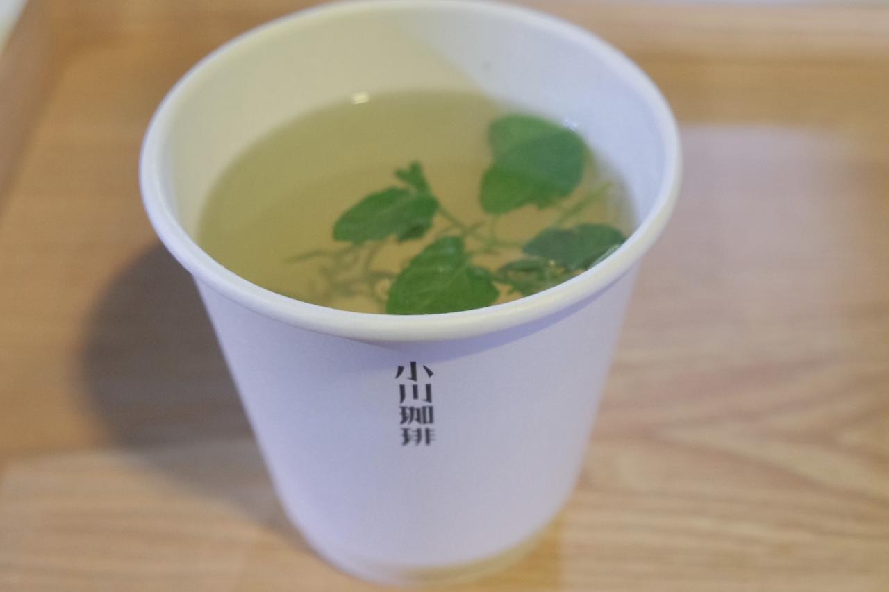 画像11: 豪華コラボレーションの数々！「KYOTO BOTANICAL GARDENS STORE」