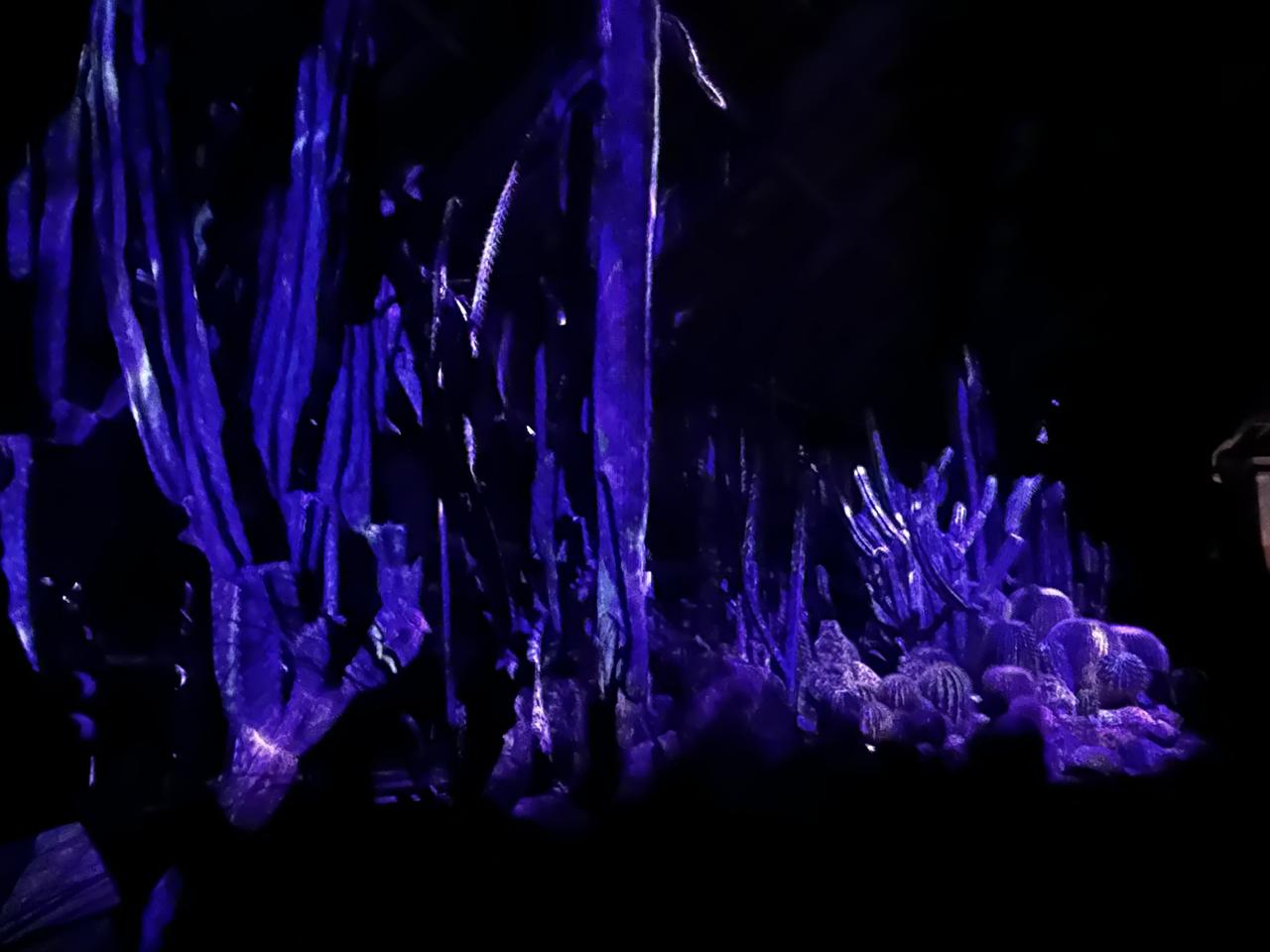 画像2: ⚫︎ZONE3:INVISIBLE