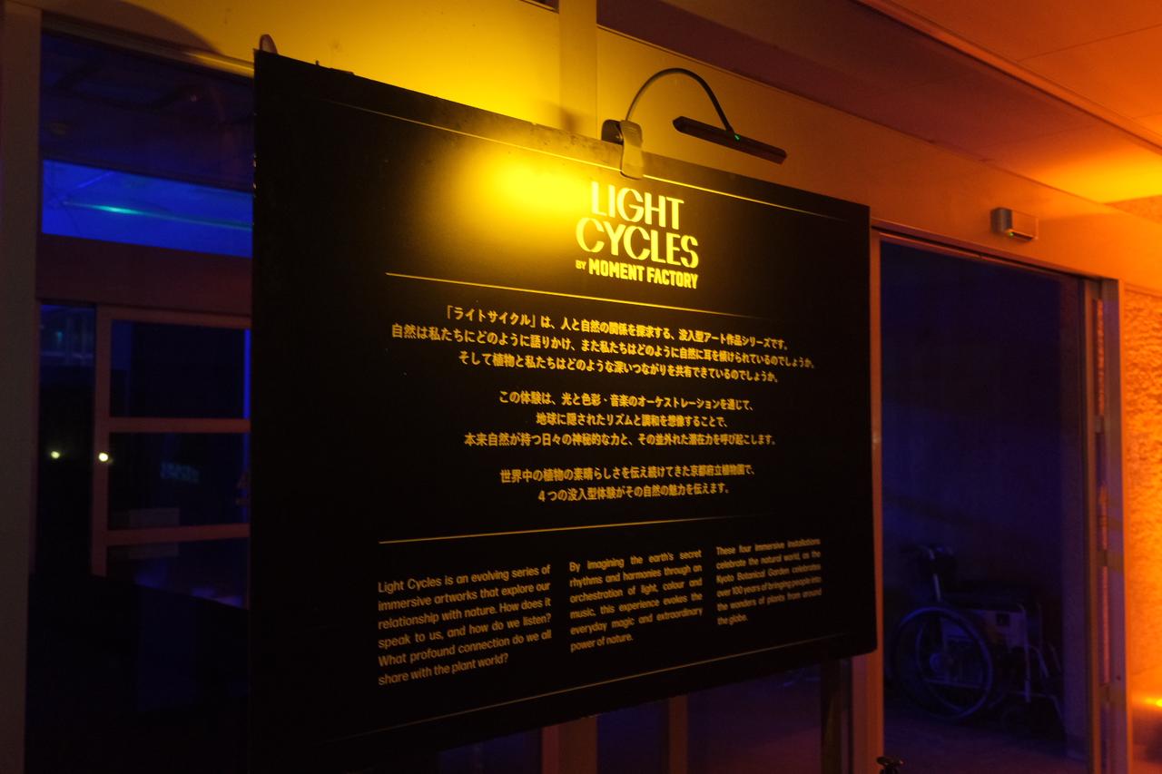 画像5: 【体験レポ】植物と光、音が織りなす幻想的かつ神秘的な世界へ「LIGHT CYCLES  KYOTO（ライトサイクル京都）」