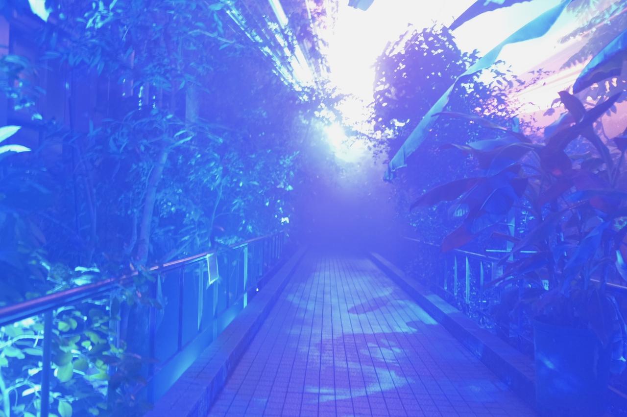 画像3: ⚫︎ZONE2:MEMORY OF WATER