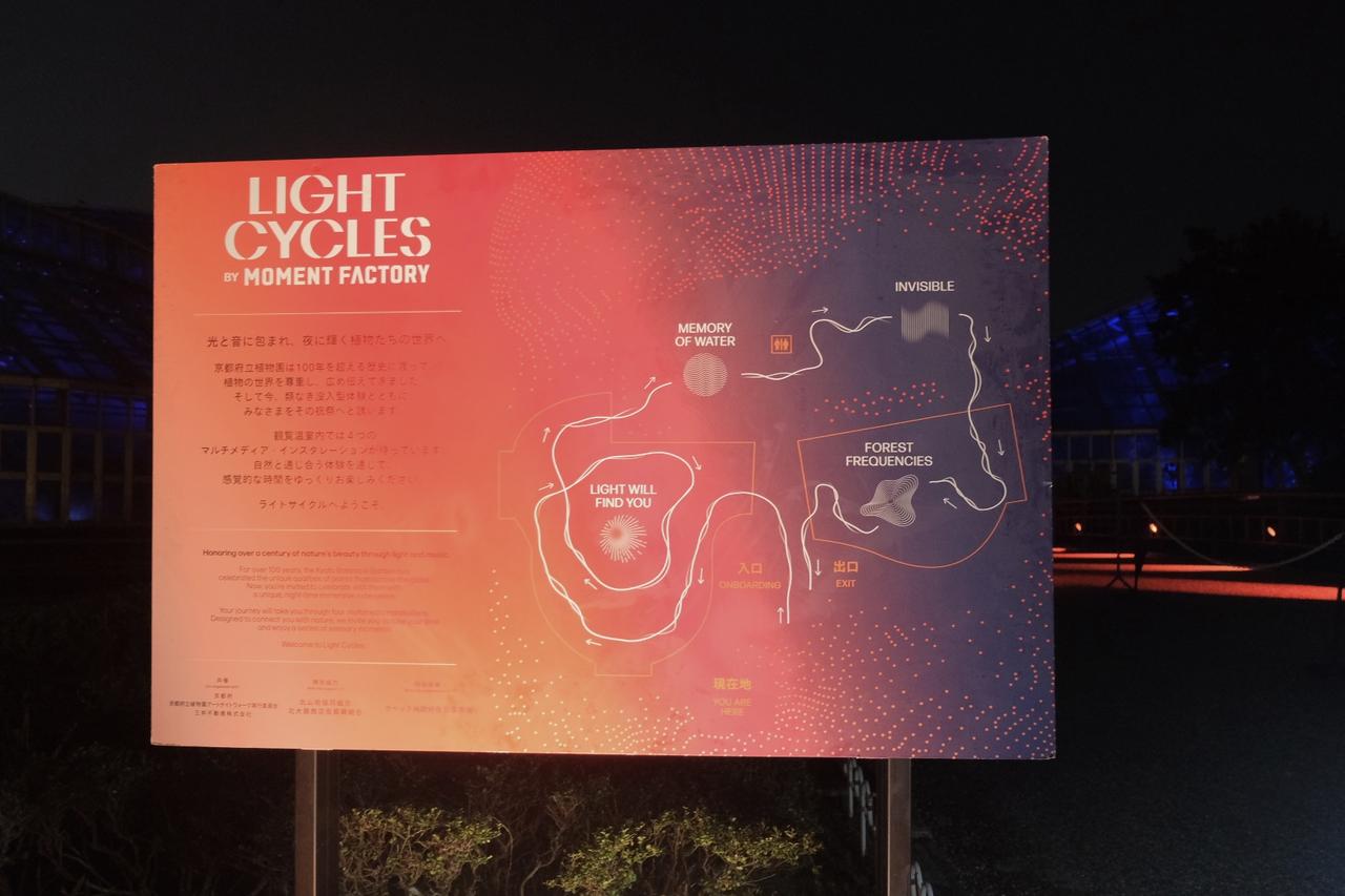 画像4: 【体験レポ】植物と光、音が織りなす幻想的かつ神秘的な世界へ「LIGHT CYCLES  KYOTO（ライトサイクル京都）」