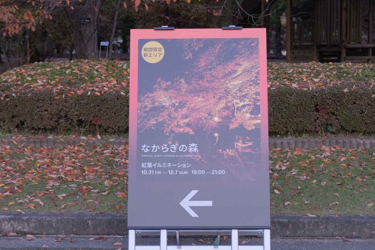 画像 : 9番目の画像 - 京都府立植物園 - カワコレメディア