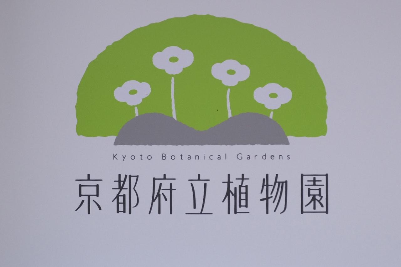 画像 : 2番目の画像 - 京都府立植物園 - カワコレメディア