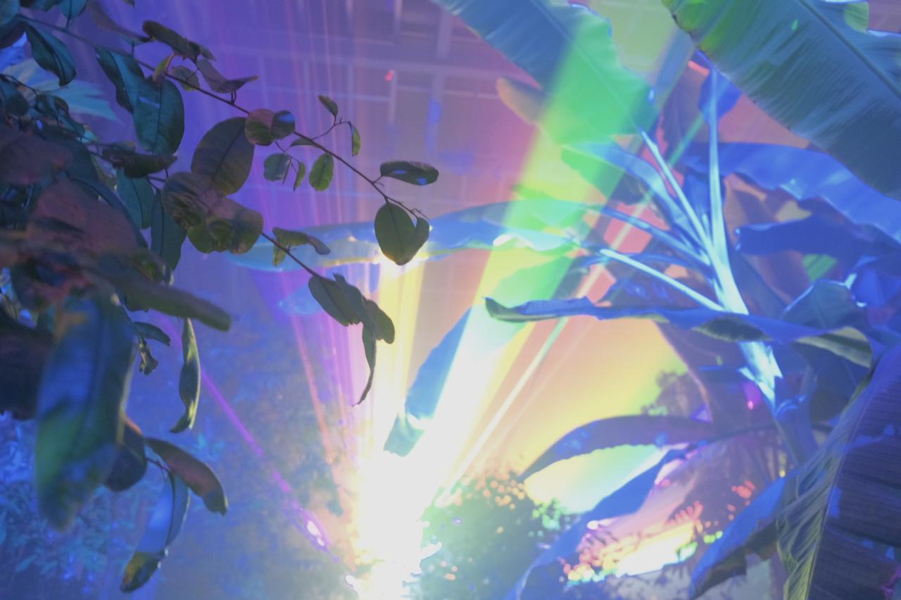 画像 : 5番目の画像 - 京都府立植物園 - カワコレメディア