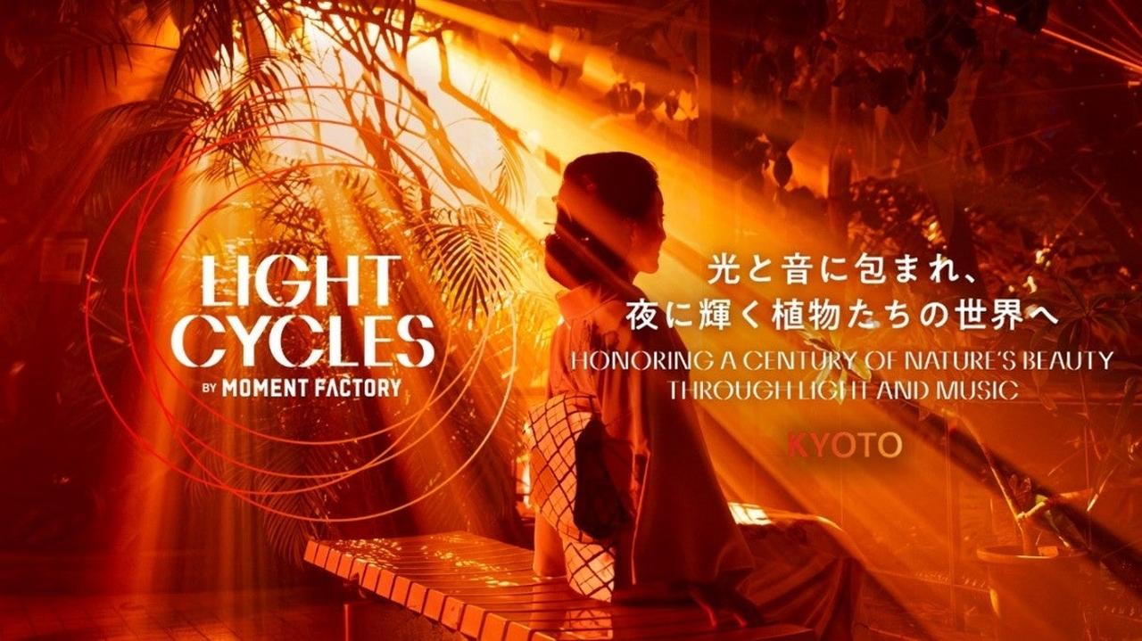 画像6: 【体験レポ】植物と光、音が織りなす幻想的かつ神秘的な世界へ「LIGHT CYCLES  KYOTO（ライトサイクル京都）」