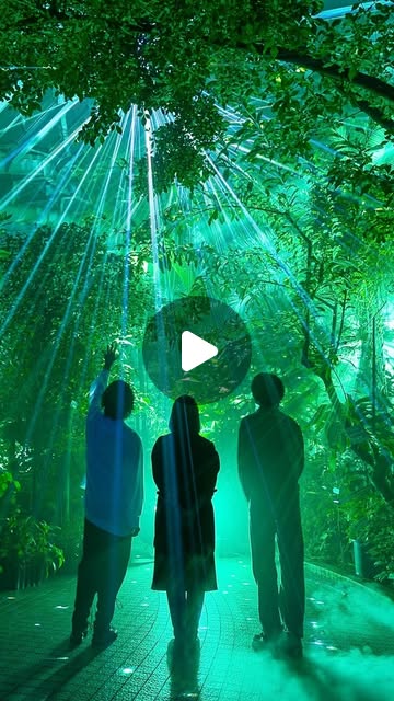 画像: MOMENT FACTORY on Instagram: " 京都府立植物園で LIGHT CYCLES KYOTO 体験を！ 夜間に特別に開放された観覧温室に足を踏み入れ、植物たちの秘められた生命を体感しましょう。光と音とデジタルアートが織りなす幻想的な世界で、自然の声を五感で感じてください。 Step into Light Cycles at Kyoto Botanical Gardens! Enter the greenhouse and discover the hidden life of plants. Let your senses engage with the universal voice of nature through captivating display of light, soundscapes, and digital art. #kyotobotanicalgardens #100周年 #京都府立植物園 #lightcycles #momentfactory"