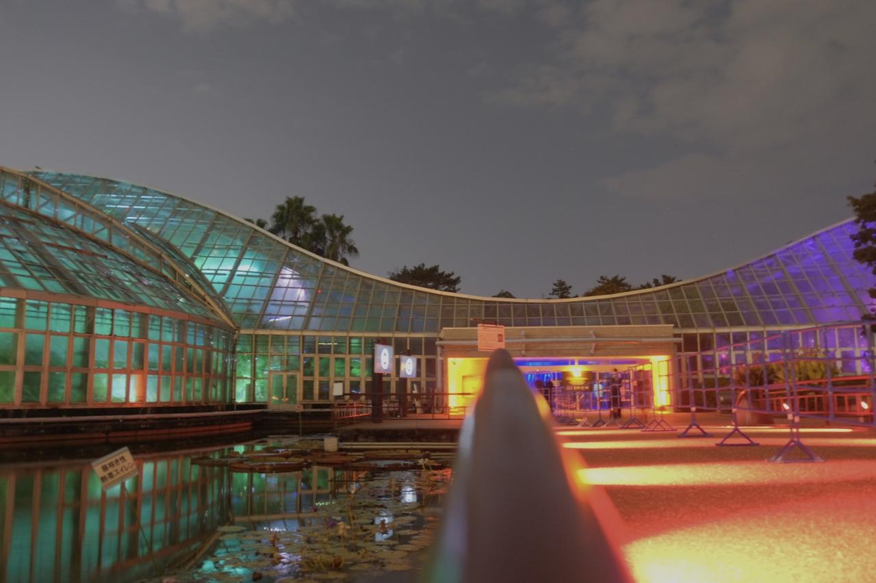 画像3: 【体験レポ】植物と光、音が織りなす幻想的かつ神秘的な世界へ「LIGHT CYCLES  KYOTO（ライトサイクル京都）」