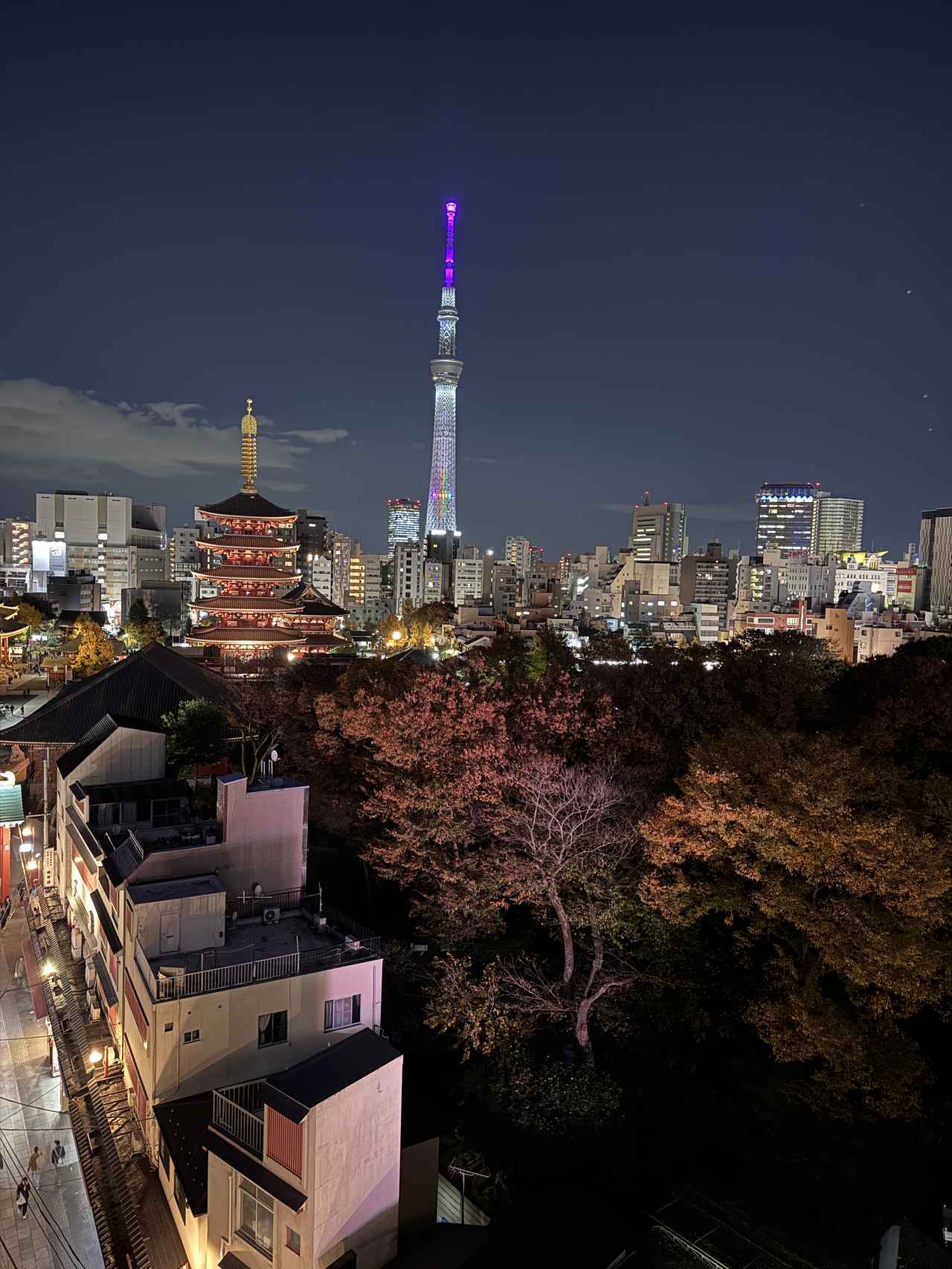 画像2: 浅草の街並みを独り占め