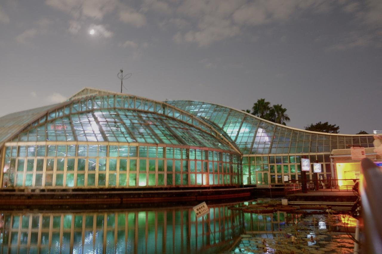 画像13: 豪華コラボレーションの数々！「KYOTO BOTANICAL GARDENS STORE」