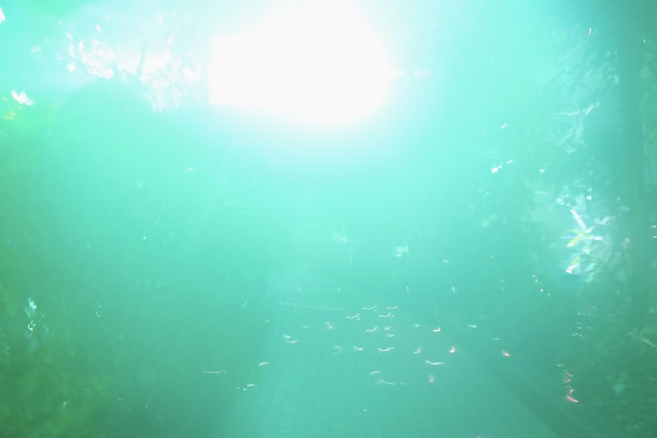 画像1: ⚫︎ZONE2:MEMORY OF WATER