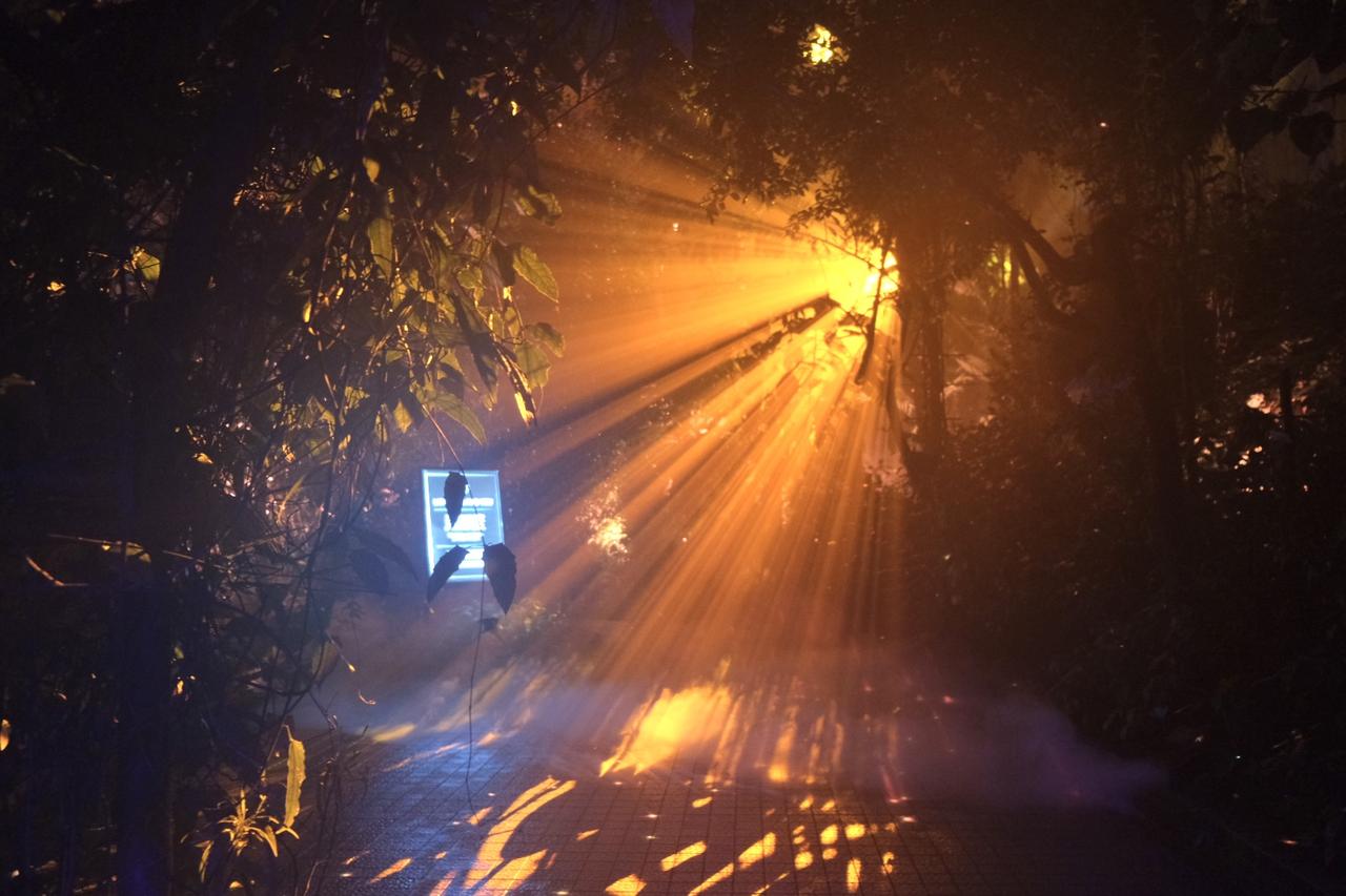 画像1: ⚫︎ZONE1:LIGHT WILL FIND YOU