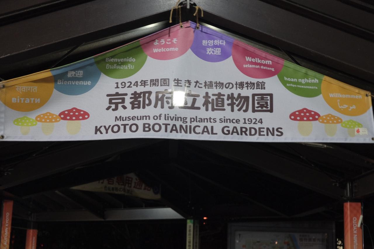 画像 : 16番目の画像 - 京都府立植物園 - カワコレメディア